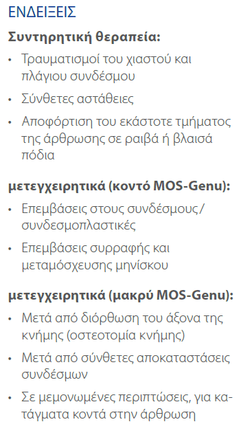ENDIXEIS.png