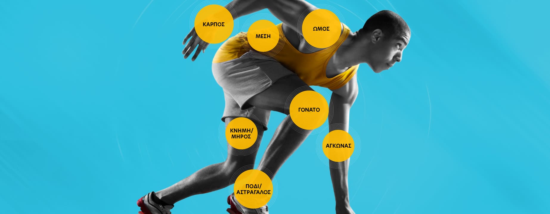 categories
